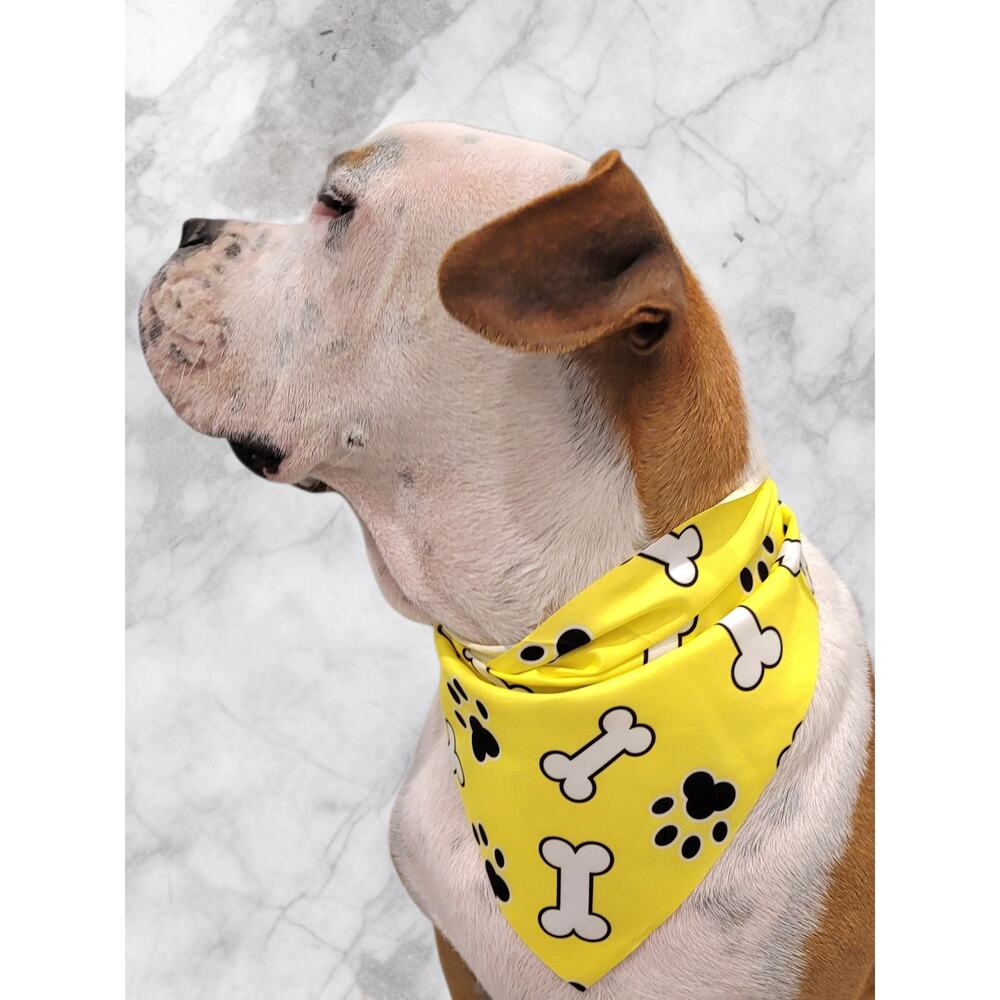 Bright Yellow Pet Bandana Paw & Bone Print Black and White